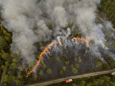 Ganz ohne den Einsatz von Wasser erlöschen die Flammen des „Wildfeuers“ sobald sie auf die freigebrannte Fläche treffen. Quelle: FNR / A.Schmidt