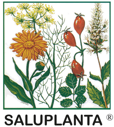 Logo Saluplanta